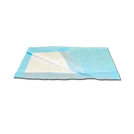 Absorbent Blue Pads 17" x 24" 300 per Case