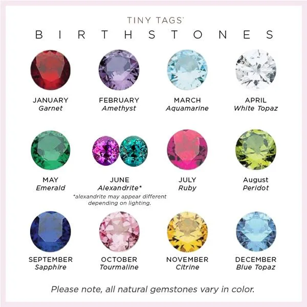 Gold Mini Dog Tag with Birthstone