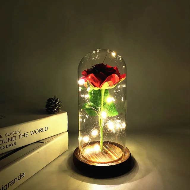 LED Glass Dome