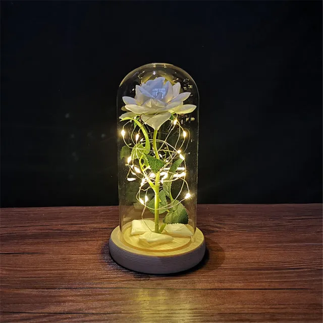 LED Glass Dome