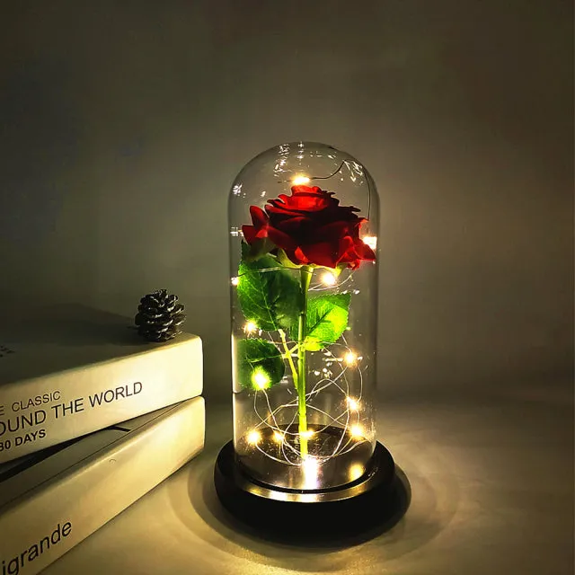 LED Glass Dome