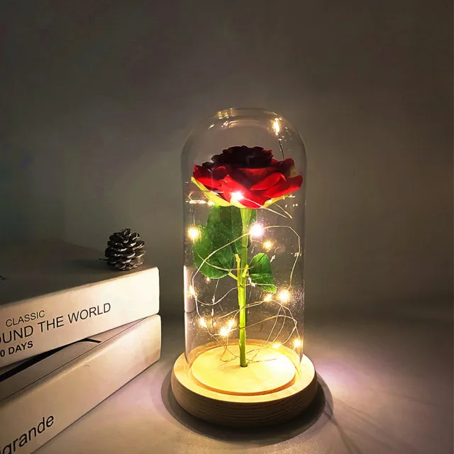 LED Glass Dome