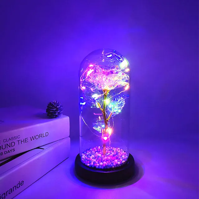 LED Glass Dome