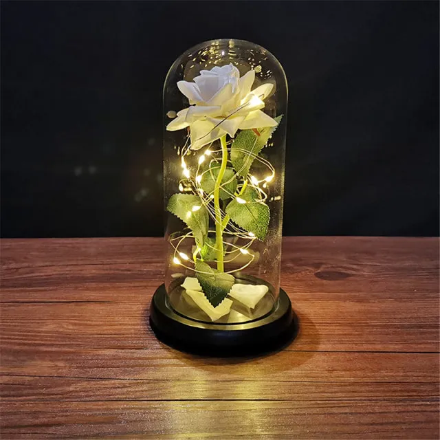 LED Glass Dome
