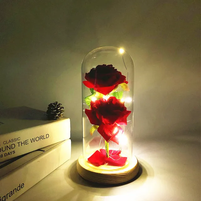 LED Glass Dome