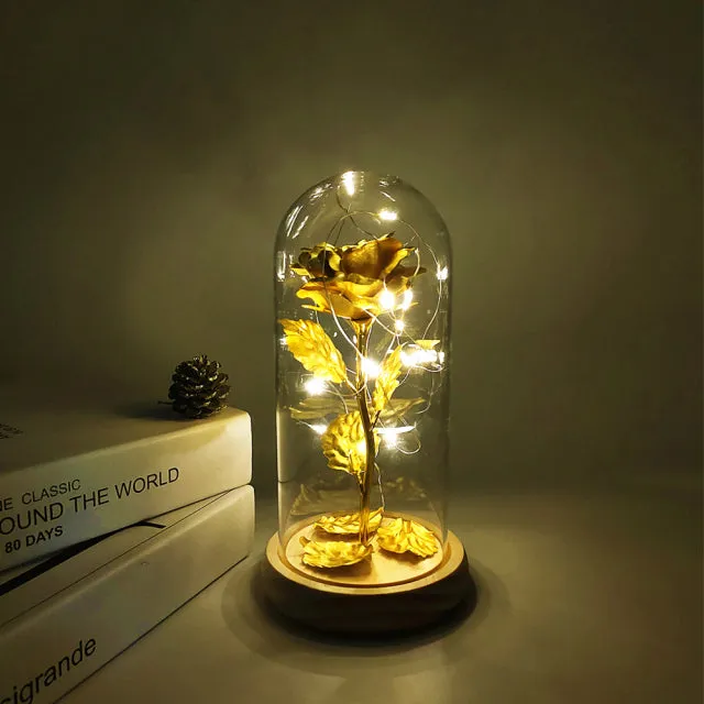 LED Glass Dome