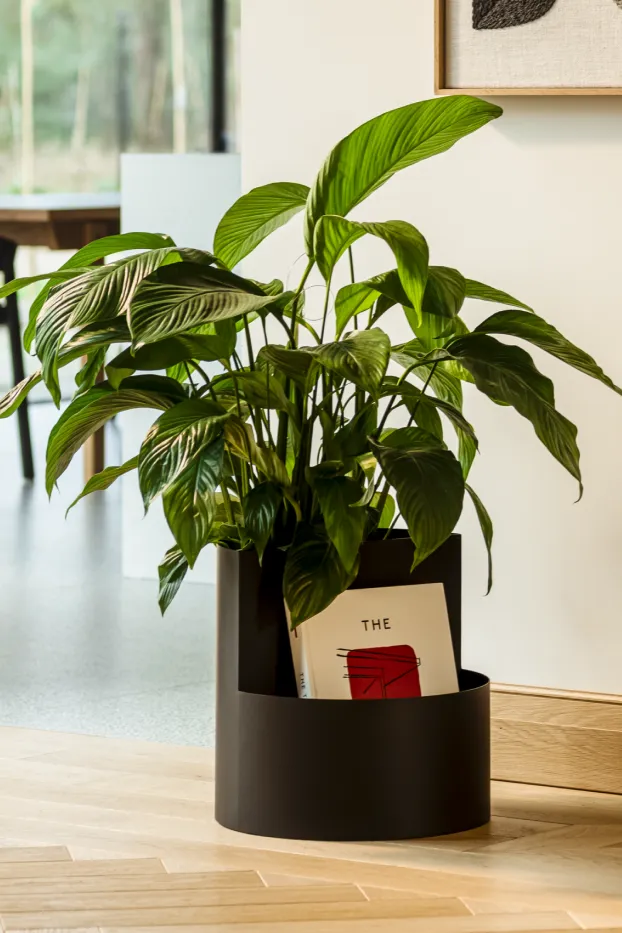 Owal Plant Pot