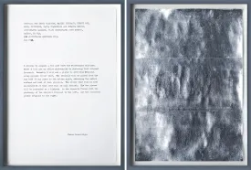 Peter Liversidge | Proposal for Whitechapel Editions (2013)