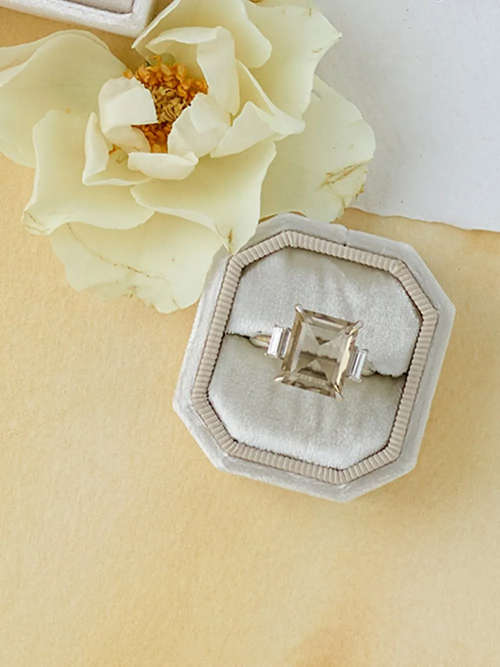 The Stella Bevel Single